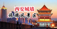 好屌日天天日中国陕西-西安城墙旅游风景区
